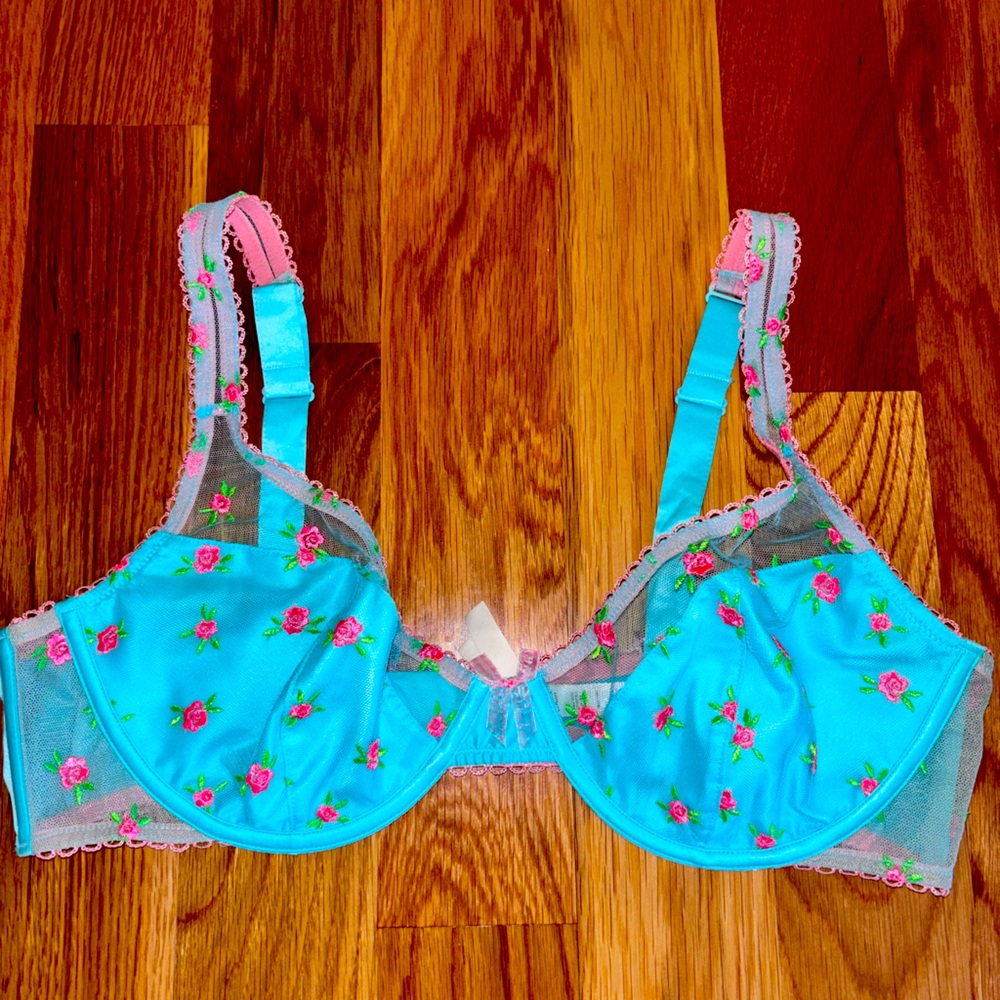 Floral Embroidered Blue and Pink Bra